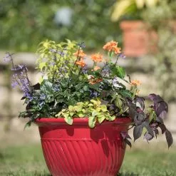 GSC Mazzano Self-Watering Planters -Plant Supports Shop 8596564 4883 tif