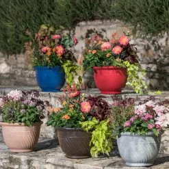 GSC Mazzano Self-Watering Planters -Plant Supports Shop 8596570 4963 tif