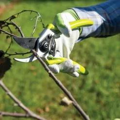 GSC Gardener's Pro Pruner #2 9 GSC Gardener's Pro Pruner #2 -Plant Supports Shop 8596605 032 tif