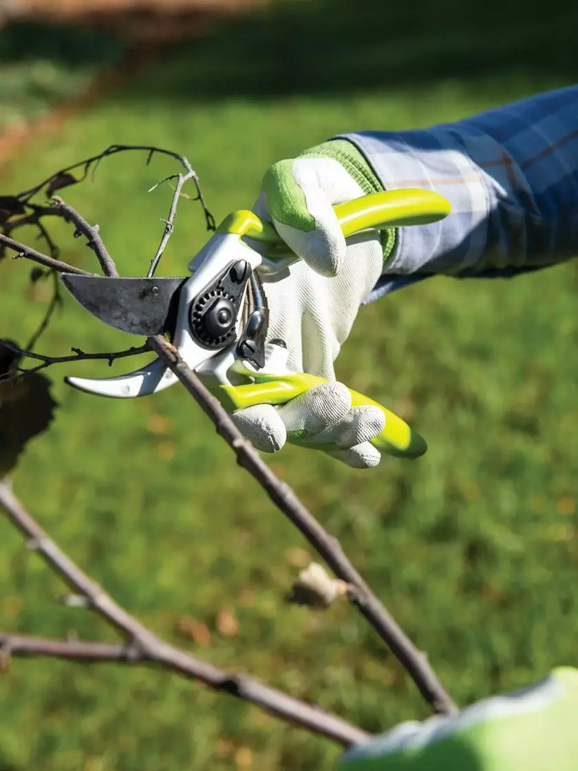 GSC Gardener's Pro Pruner #2 6 GSC Gardener's Pro Pruner #2 - Image 4