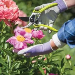 GSC Gardener's Pro Pruner #2 8 GSC Gardener's Pro Pruner #2 -Plant Supports Shop 8596605 1261 tif