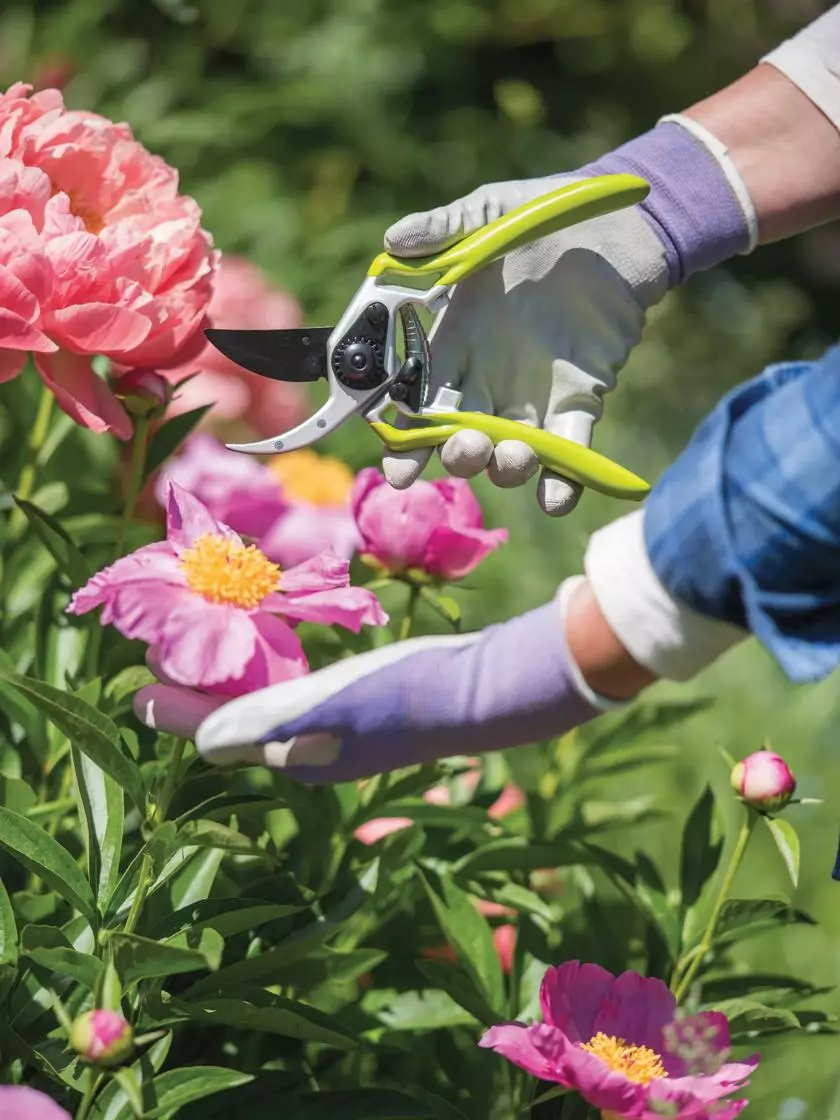 GSC Gardener's Pro Pruner #2 5 GSC Gardener's Pro Pruner #2 - Image 3