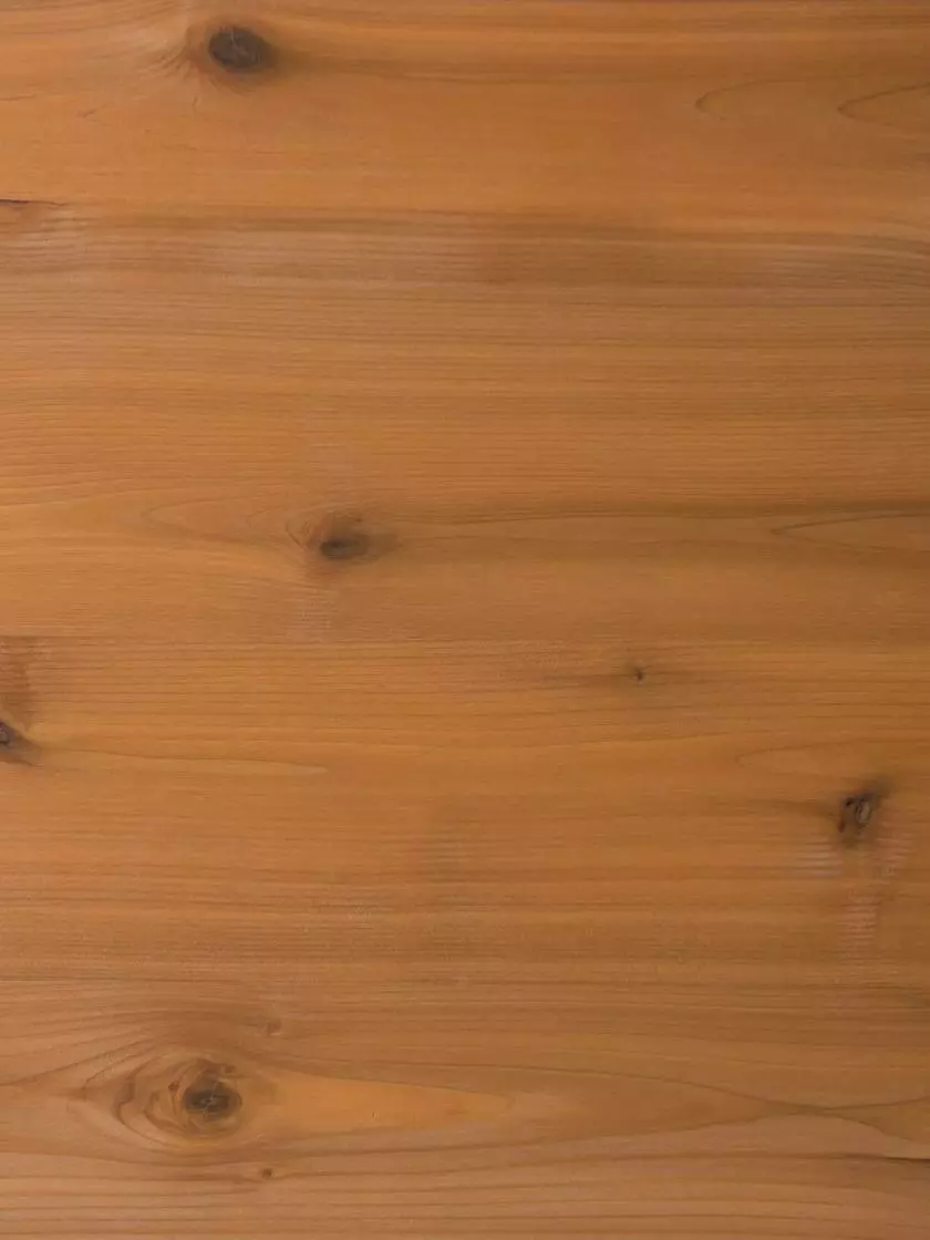 GSC Gardener’s Exterior Wood Stain, 1 Quart 9 GSC Gardener’s Exterior Wood Stain, 1 Quart - Image 7