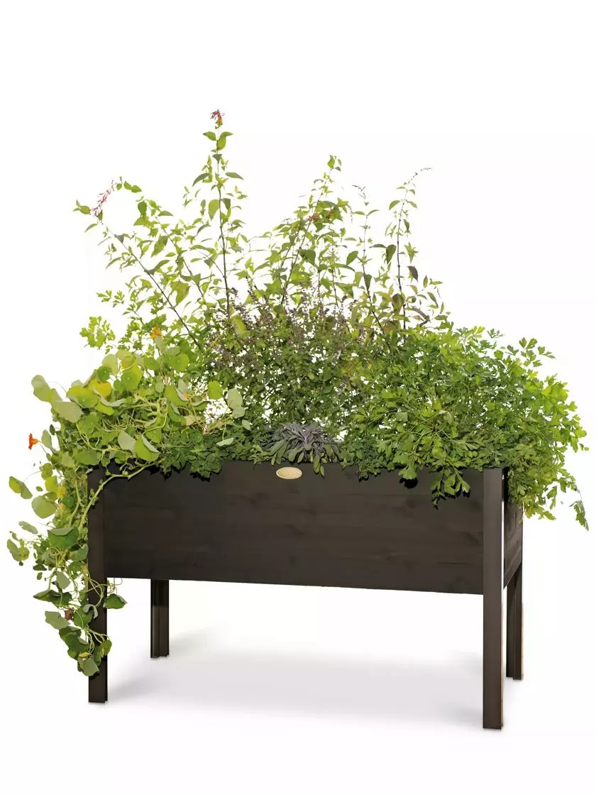 GSC Eco-Stained Elevated Planter Box, 2'x4' 9 GSC Eco-Stained Elevated Planter Box, 2'x4' - Image 7