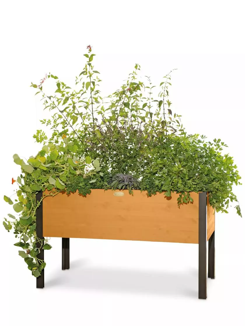 GSC Eco-Stained Elevated Planter Box, 2'x4' 10 GSC Eco-Stained Elevated Planter Box, 2'x4' - Image 8