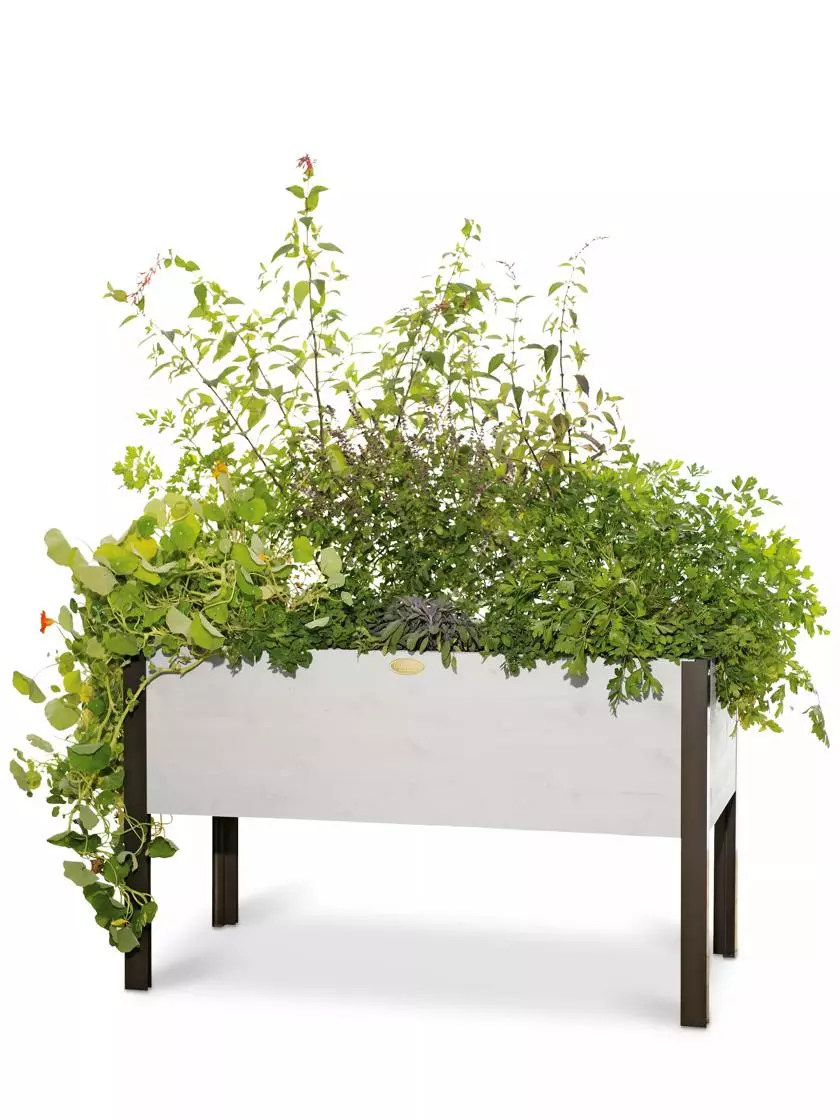 GSC Eco-Stained Elevated Planter Box, 2'x4' 8 GSC Eco-Stained Elevated Planter Box, 2'x4' - Image 6