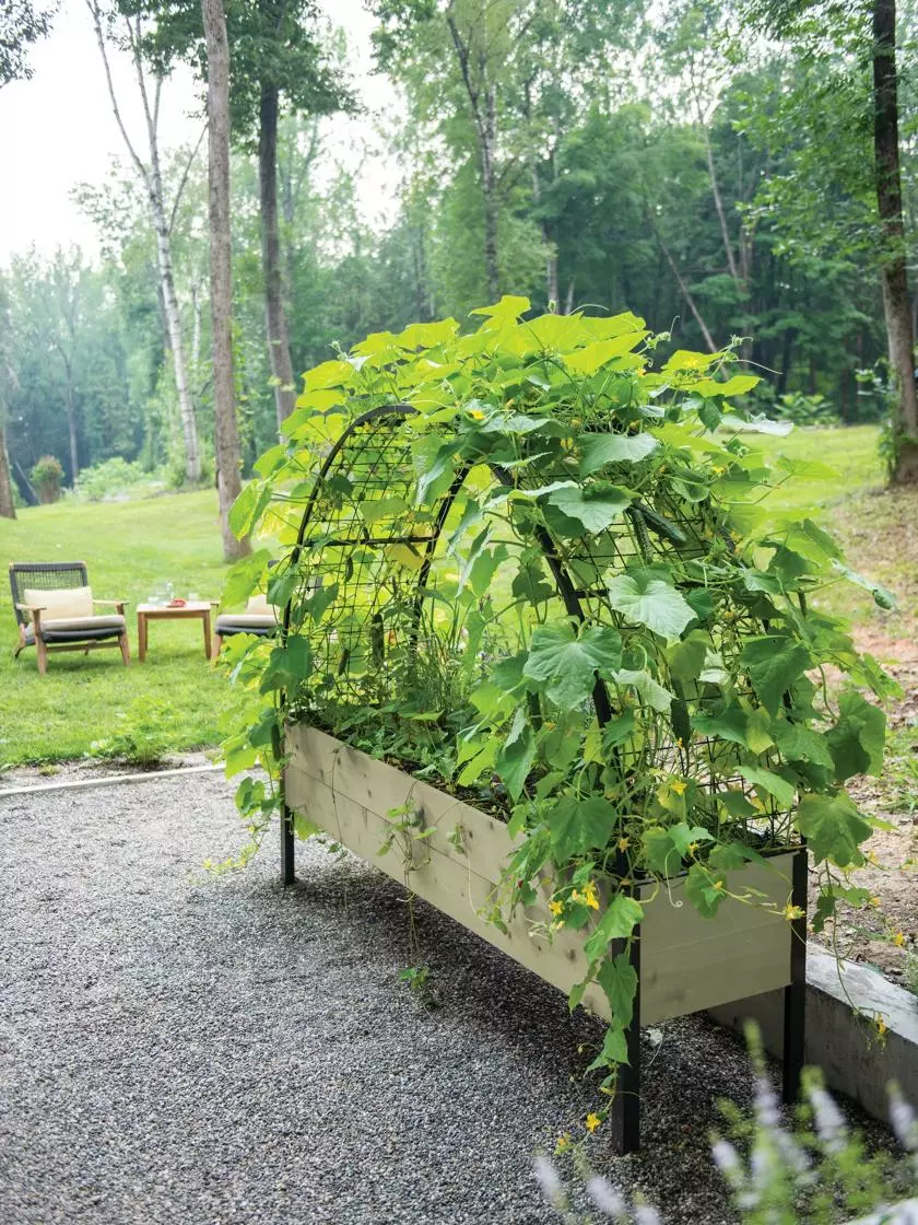 GSC Eco-Stained Elevated Planter Box, 2'x8' 8 GSC Eco-Stained Elevated Planter Box, 2'x8' - Image 6