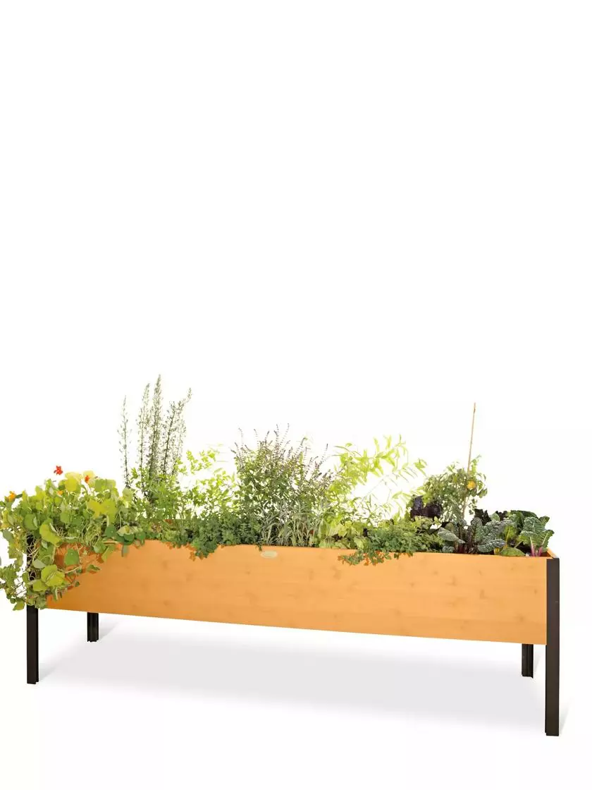 GSC Eco-Stained Elevated Planter Box, 2'x8' 10 GSC Eco-Stained Elevated Planter Box, 2'x8' - Image 8
