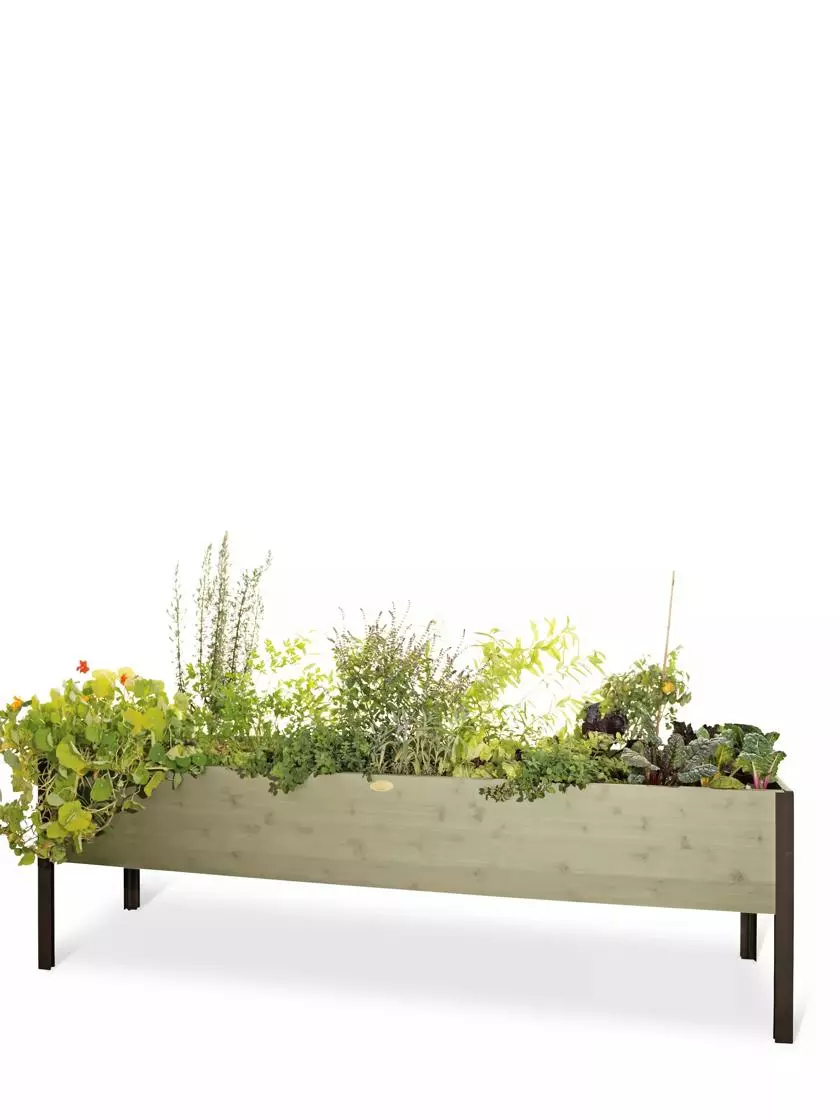 GSC Eco-Stained Elevated Planter Box, 2'x8' 13 GSC Eco-Stained Elevated Planter Box, 2'x8' - Image 11