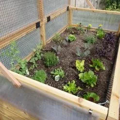 GSC Garden In A Box Cedar Raised Bed With Greenhouse, 3' X 6' -Plant Supports Shop 8597082 02V tif