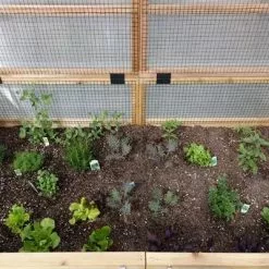 GSC Garden In A Box Cedar Raised Bed With Greenhouse, 3' X 6' -Plant Supports Shop 8597082 03V tif