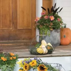 GSC Galvanized Rim Planters 11 GSC Galvanized Rim Planters -Plant Supports Shop 8597379 1625 tif