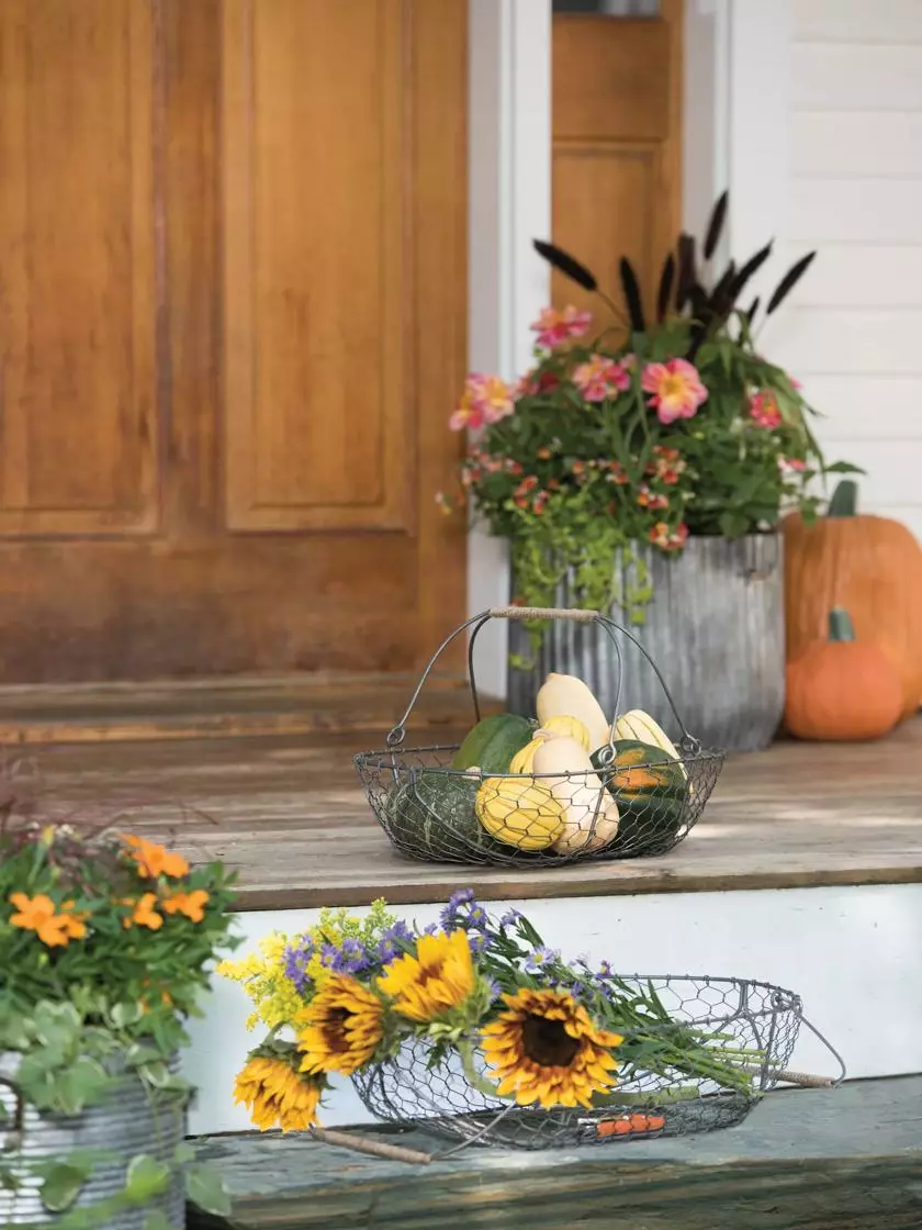 GSC Galvanized Rim Planters 6 GSC Galvanized Rim Planters - Image 4