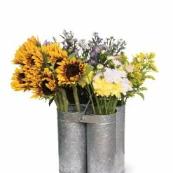 GSC Galvanized Flower Caddy -Plant Supports Shop 8597387 0389 tif