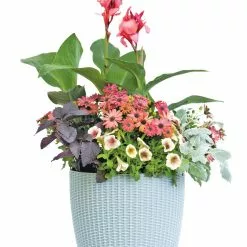 GSC Weave Self-Watering Round Planter, 14" -Plant Supports Shop 8597388 2175 tif