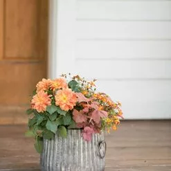 GSC Galvanized Ribbed Planters -Plant Supports Shop 8597434 1695 tif