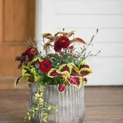 GSC Galvanized Ribbed Planters -Plant Supports Shop 8597435 1693 tif