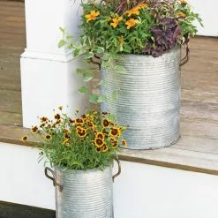 GSC Galvanized Rim Planters