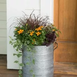 GSC Galvanized Rim Planters 10 GSC Galvanized Rim Planters -Plant Supports Shop 8597443 1708 tif