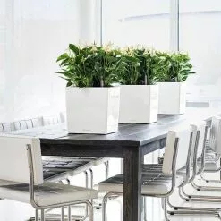 GSC Lechuza® Cube Premium Planters