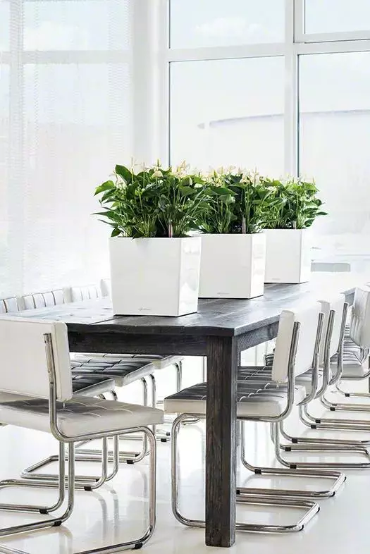 GSC Lechuza® Cube Premium Planters 3 GSC Lechuza® Cube Premium Planters