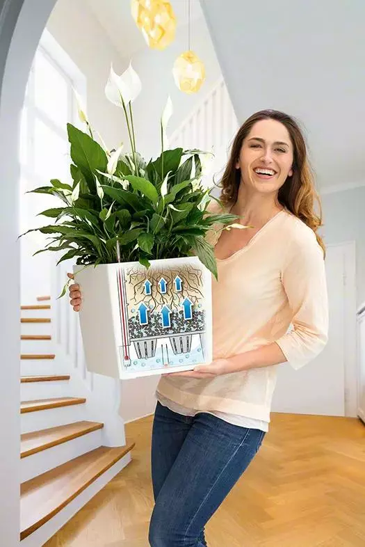 GSC Lechuza® Cube Premium Planters 4 GSC Lechuza® Cube Premium Planters - Image 2