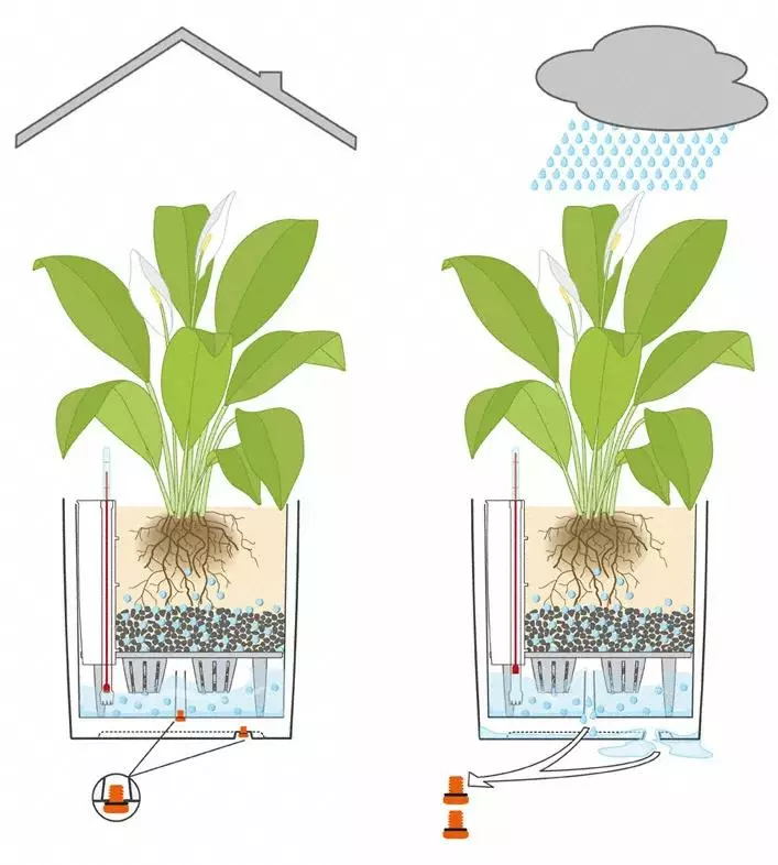 GSC Lechuza® Cube Premium Planters 7 GSC Lechuza® Cube Premium Planters - Image 5