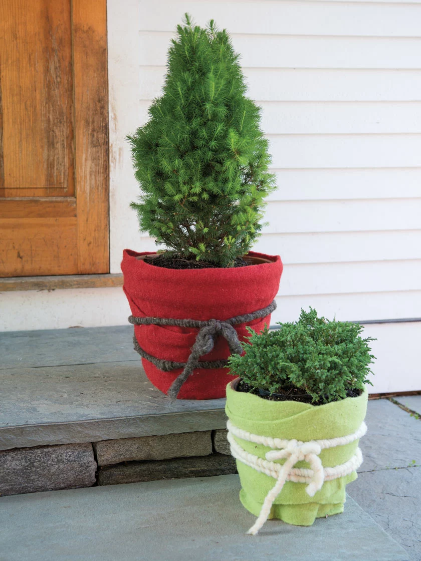 GSC GardenWool® Cord 3 GSC GardenWool® Cord