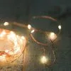 GSC Battery-Operated Fairy Lights -Plant Supports Shop 8597664 14919