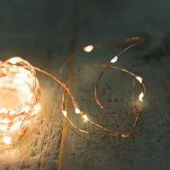 GSC Battery-Operated Fairy Lights 10 GSC Battery-Operated Fairy Lights -Plant Supports Shop 8597665 14912