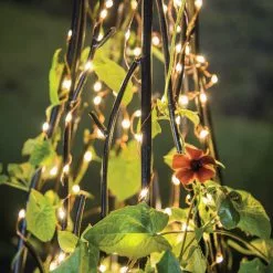 GSC Plug-In Fairy Lights 12 GSC Plug-In Fairy Lights -Plant Supports Shop 8597942 3937 scaled
