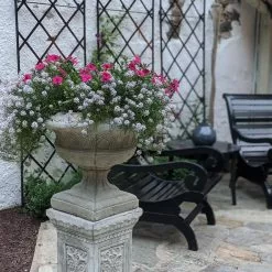 Plant Supports Shop -Plant Supports Shop 8598275 01CUST tif