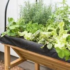 GSC VegTrug® Mini Wallhugger Planter With Cover -Plant Supports Shop 8598339 4005 tif