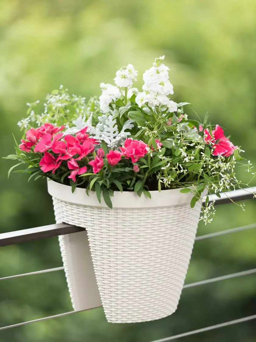 GSC Weave Round Railing Planter, 11" 5 GSC Weave Round Railing Planter, 11" - Image 3