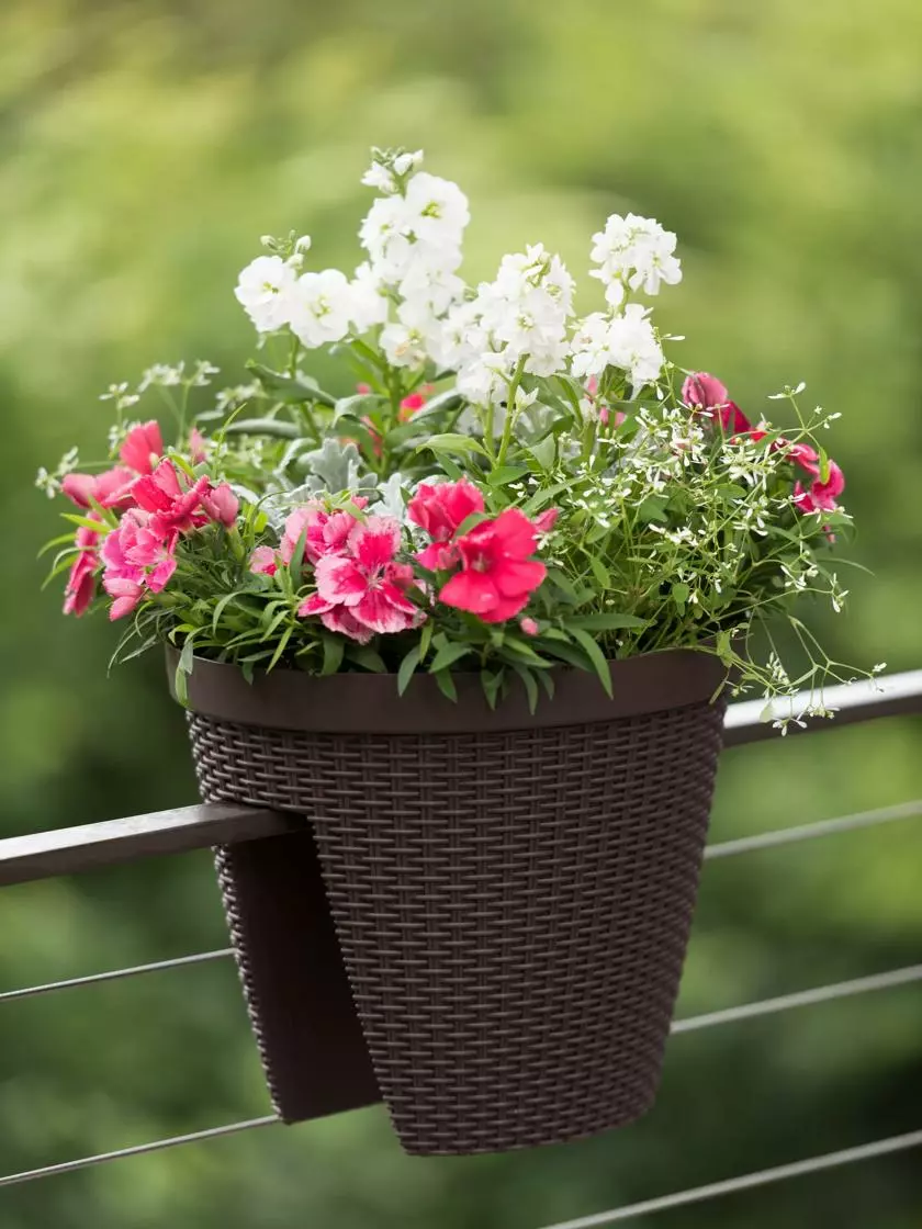 GSC Weave Round Railing Planter, 11" 6 GSC Weave Round Railing Planter, 11" - Image 4