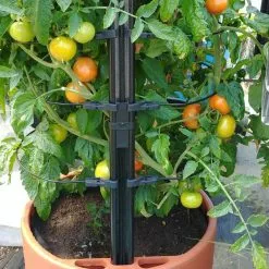 GSC Gardener’s Victory Self-Watering Planter With Support System -Plant Supports Shop 8598384 01EMP tif