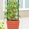 GSC Gardener’s Victory Self-Watering Planter With Support System 1 GSC Gardener’s Victory Self-Watering Planter With Support System -Plant Supports Shop 8598384 6012 tif