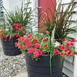GSC Gardener’s Victory Self-Watering Patio Planter