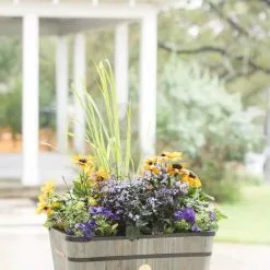 GSC VegTrug™ Trough Planters -Plant Supports Shop 8598403 08876 tif