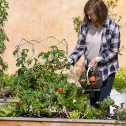 GSC Gardener's Vertex Lifetime Tomato Cage 11 GSC Gardener's Vertex Lifetime Tomato Cage -Plant Supports Shop 8598426 0026 tif