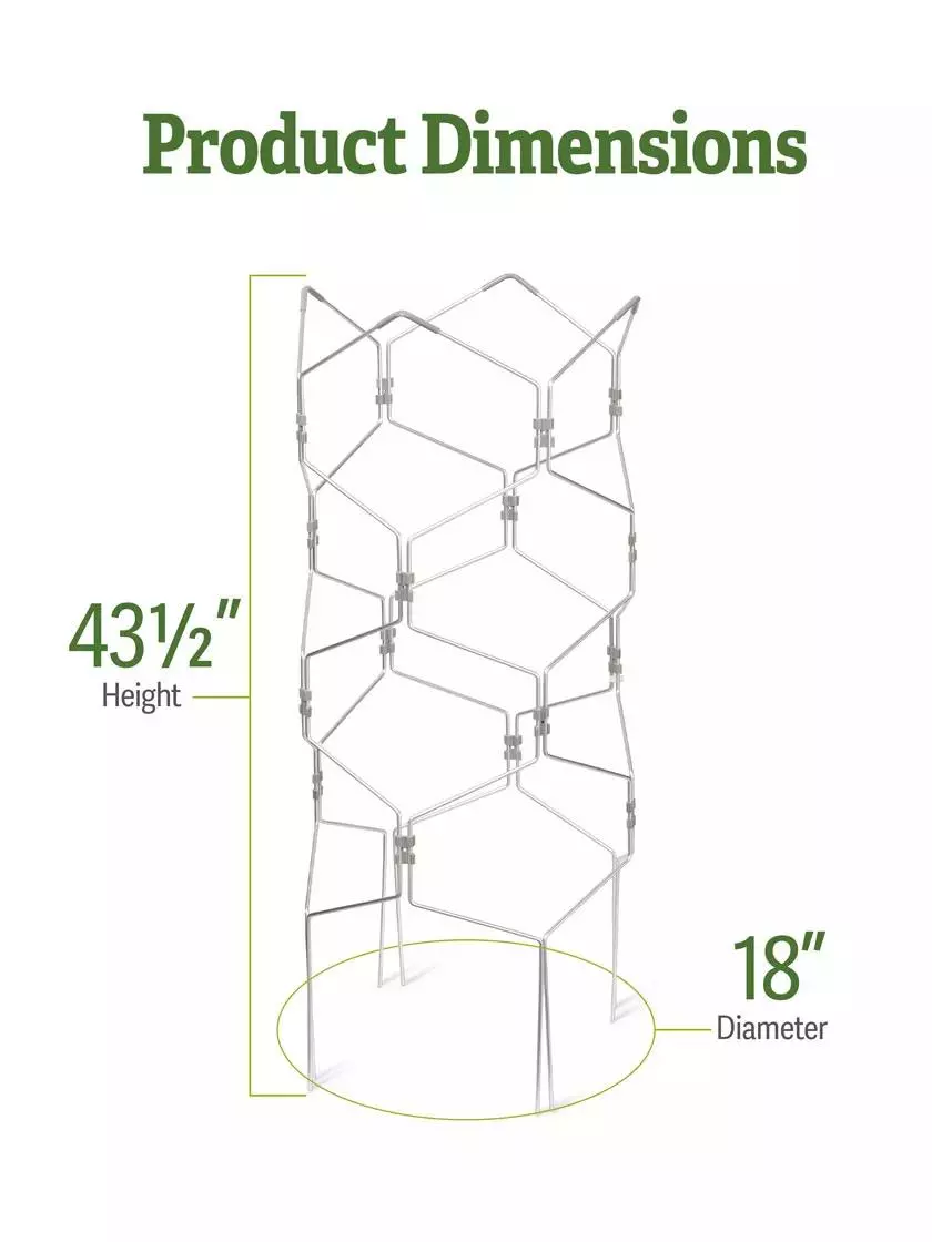 GSC Gardener's Vertex Lifetime Tomato Cage 4 GSC Gardener's Vertex Lifetime Tomato Cage - Image 2