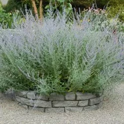 GSC Rock Lock Interlocking Garden System, Curved Sets 13 GSC Rock Lock Interlocking Garden System, Curved Sets -Plant Supports Shop 8598737 04V tif