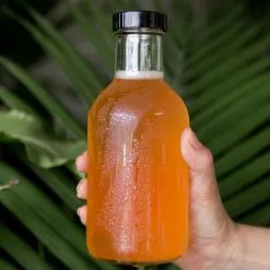 GSC Kombucha Making Kit -Plant Supports Shop 8598804 04v 1