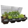 GSC Vegepod Raised Garden Beds