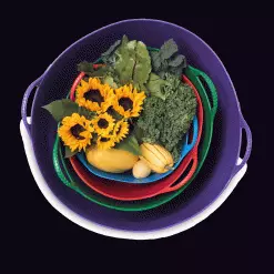 GSC Colorful Tubtrug, 3-1/2 Gallon 9 GSC Colorful Tubtrug, 3-1/2 Gallon -Plant Supports Shop 8599088 20GalTubTrug gif scaled