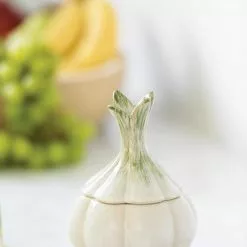 GSC Garlic Fruit Fly Trap