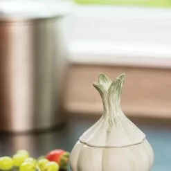 GSC Garlic Fruit Fly Trap -Plant Supports Shop 8599105 16476 tif