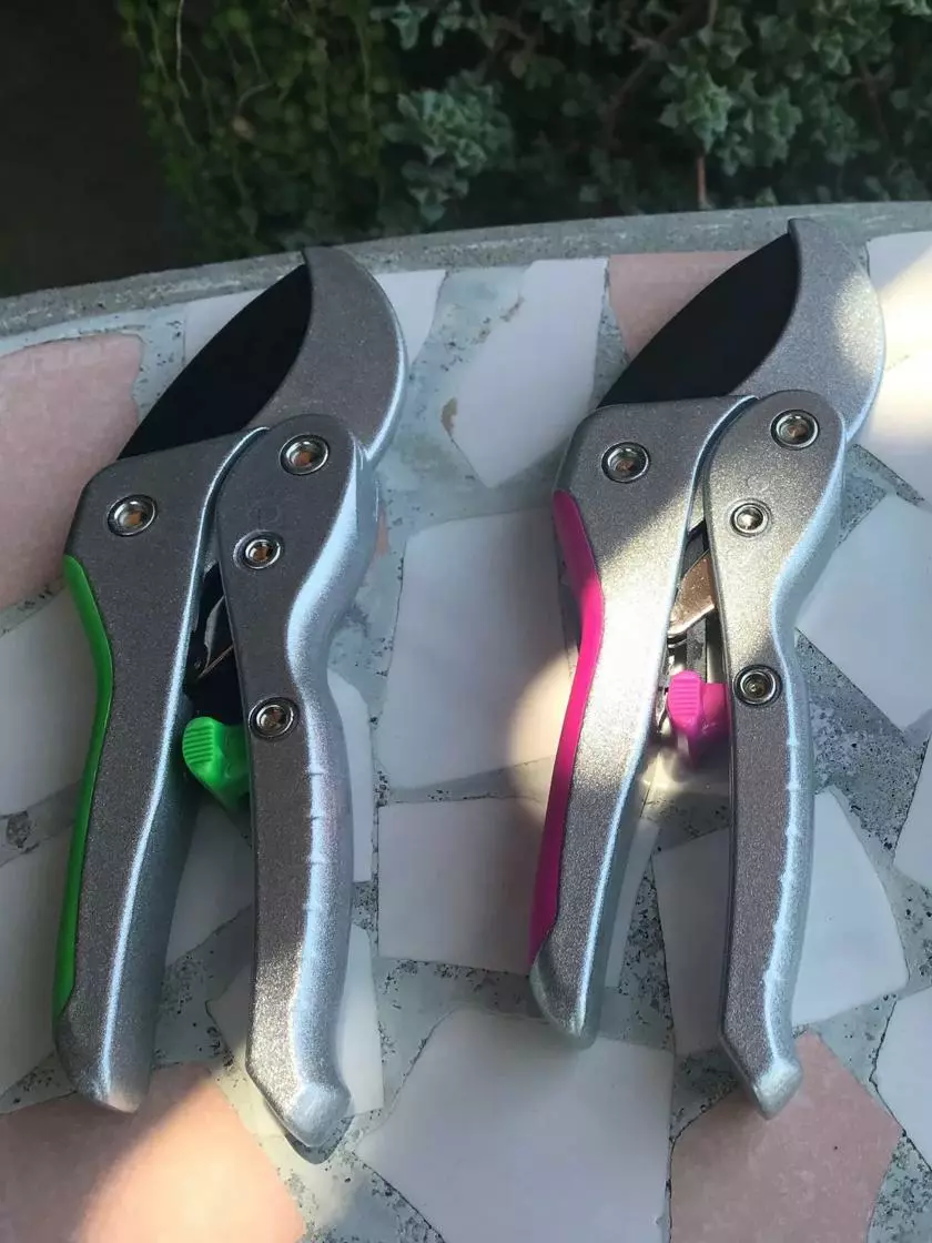 GSC Ratcheting Clippers 4 GSC Ratcheting Clippers - Image 2