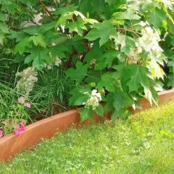 GSC Curved Landscape Edging Kit With 2" Boards -Plant Supports Shop 8599407 03V tif