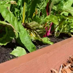 GSC Straight Landscape Edging Kit With 2" Boards -Plant Supports Shop 8599408 02V tif